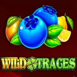 Play the Wild Traces slot by Amusnet Interactive on Kinbet Casino